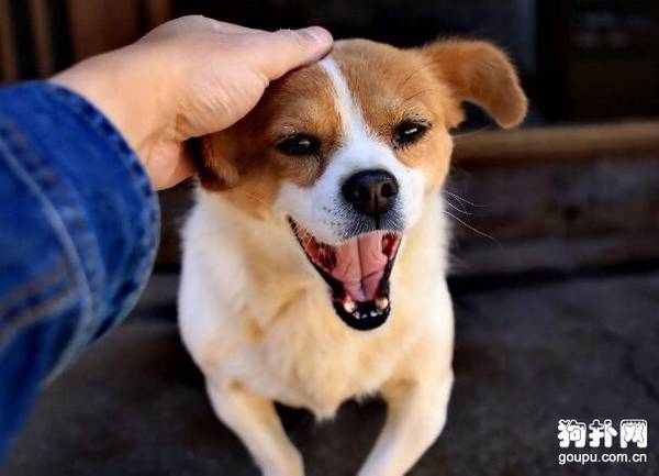 ����������Ҫע��Щʲô��