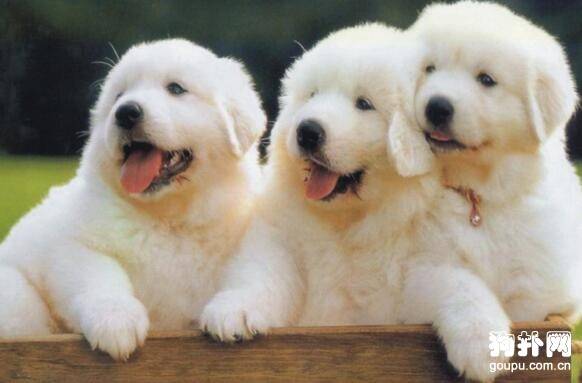 �����������,�˺�һ��ʮ��һ������