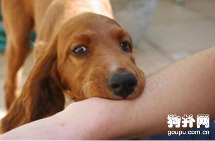 ע���Ȯ�������ĸ�ע������