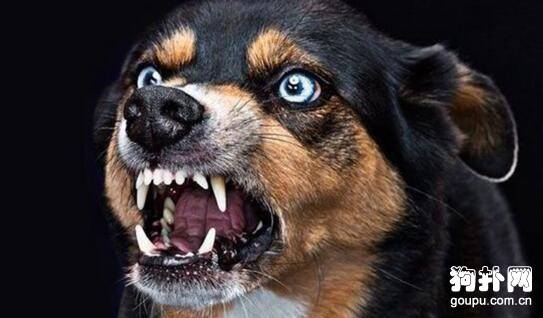 ע���Ȯ�������ĸ�ע������