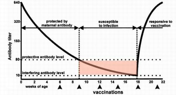 �����������ô��?