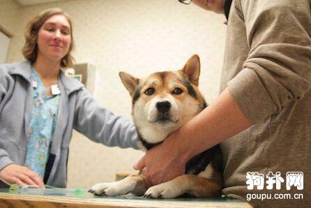 ����ΪʲôҪ���������磿