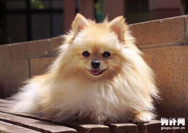 �ڹ�����������Ҫ�򼸴�����