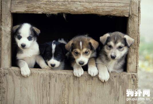 ����Ҫ�и�ʲô���ļ�