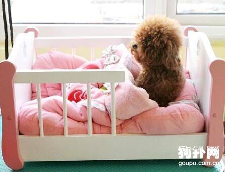 ��ѡ����˯��ע������