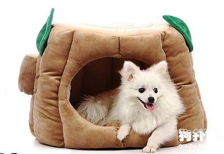 ���Ϊ������ѡ�ʺϵĹ���