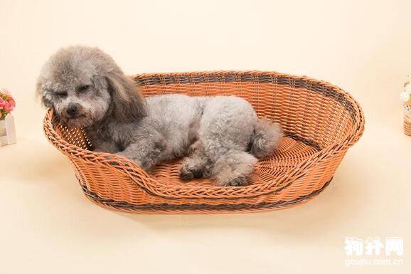 ������������ѡ���ʵĹ���