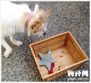 ѵ����������ߵĲ���󹫿�