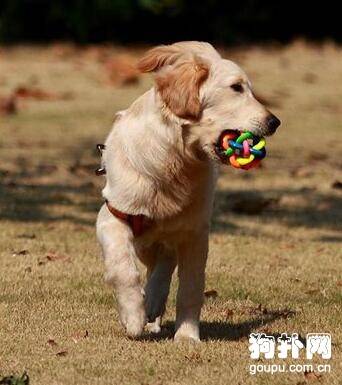 �����ʺ���ʲô��ߣ�