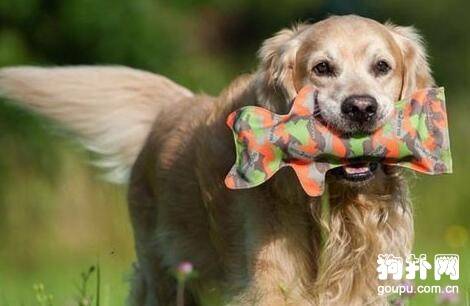 ���������ô����������ҧ������ʲô�Ƽ�Ҫ��