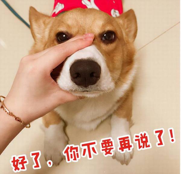 ����ȡ�������Դպϣ�����ȡ���ּɻ䣬Ȱ��𷸣�