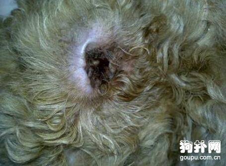 �������˶�����ô�죿����Щ���Ʒ����أ�