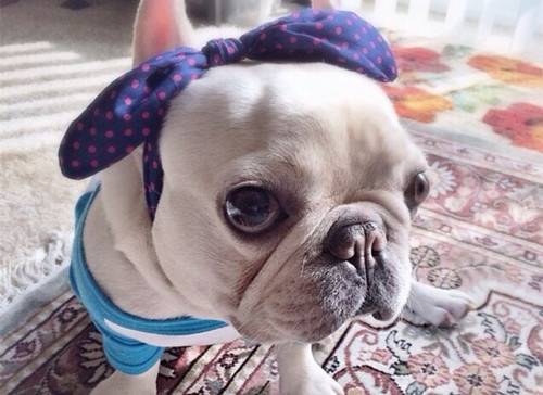 ���������ĵ÷����������ǳ����׵ö����𣬷�����ʱ�ǳ����׵ö�