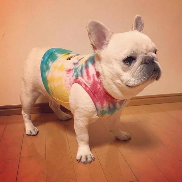 ���������ĵ÷����������ǳ����׵ö����𣬷�����ʱ�ǳ����׵ö�