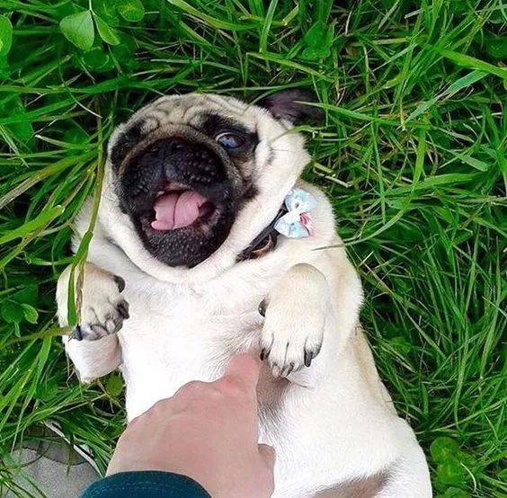 ���������ڲ������������ÿһ�¸�����������