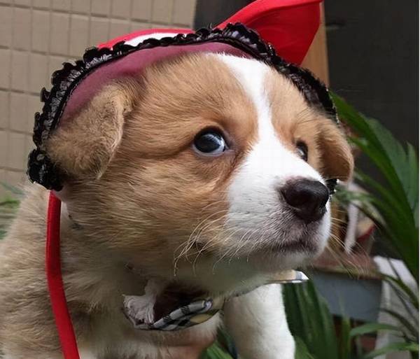 ���Ǵ��֡��»��͡��������»�����ʲô��ͬ��