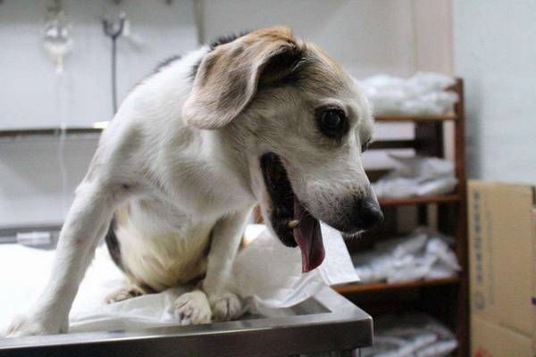 ���������ٸ�������Ȼ˳�����������ɣ�������Сʧ��ѽ