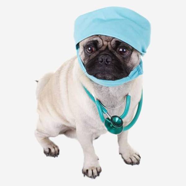 ���������ٸ�������Ȼ˳�����������ɣ�������Сʧ��ѽ