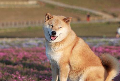 ���������ǣ���Ȯ�����Ժ��Ƿ����ϡ��