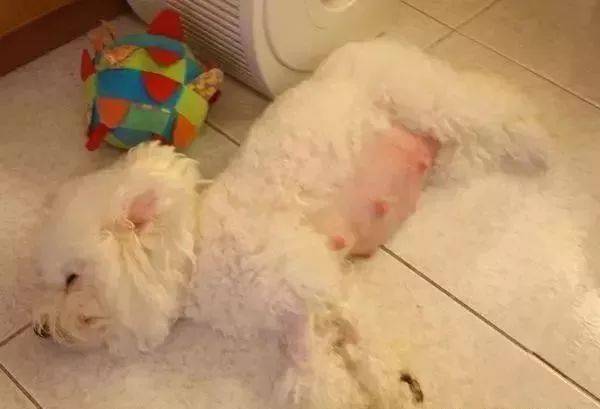 �����ٲ�ǰ�����ַ�ӳ����ʺ����һ��Ҫ�����ˣ�