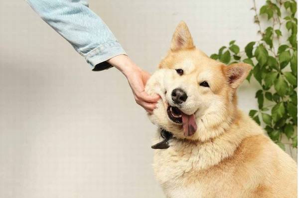 ������治һ�����ӻ���ʲô�Ը��أ�