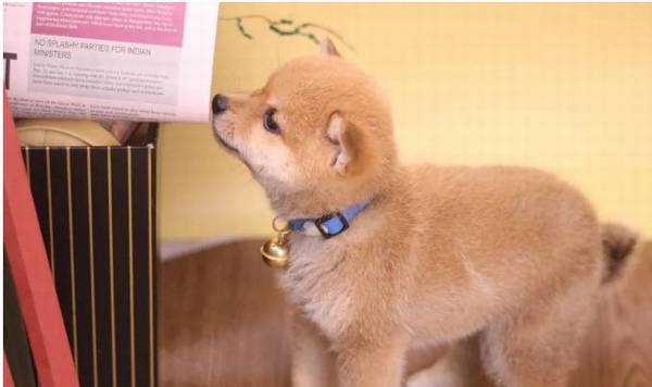 ��Ȯ�����򰡣���Щ�ط����Ȯ�ɿ���