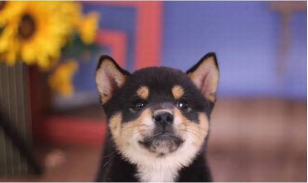 ��Ȯ�����򰡣���Щ�ط����Ȯ�ɿ���