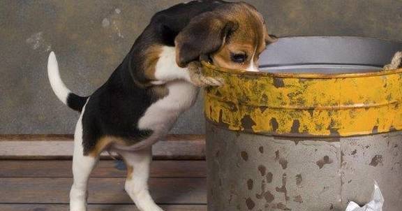 ��������Щ����ϰ���أ���4�����Ǽҹ����п���Ҳ����