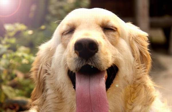 ����ë���ǹ�ʿ�棬����С����ȱ������Щ