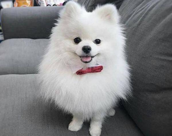 ���ϲ���Ȯ�������������Щ�ص㣬������ܽ�����