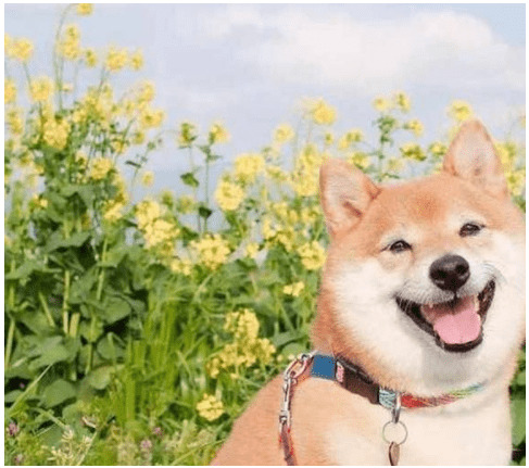 ��Ȯ���º�����Ȯ������ɵɵ�ķֲ������
