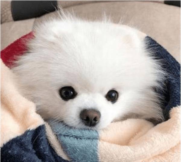 �����ɿȣ���Ż�����������ǵ�����
