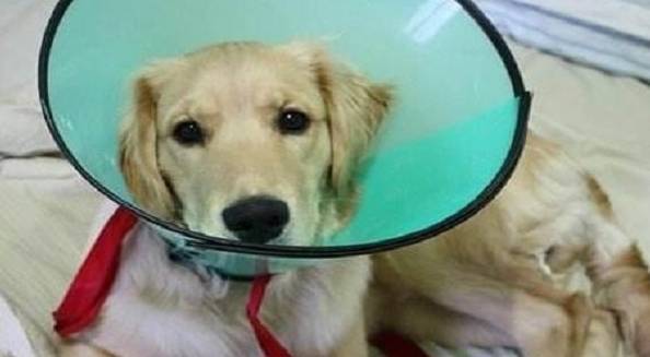 �����������󣬹�����5��ת�䣬�������