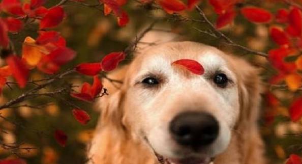 �����������󣬹�����5��ת�䣬�������