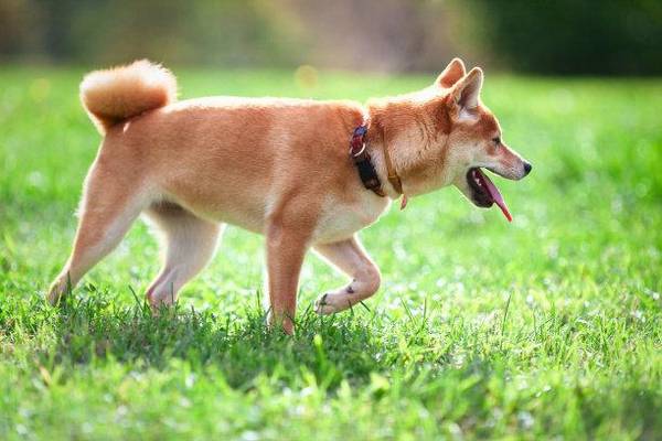 ���һ�Ժ�ļҺã����ҹ����л�������Ȯ���ϰ���