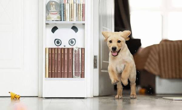 ����Ҫ�����������������飬Э���㾡��̤������֮;