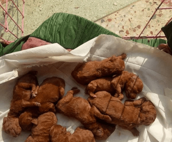 �𱬵�̩��Ȯ��Ϊ�μ۸����N�ͣ�Ե����5��