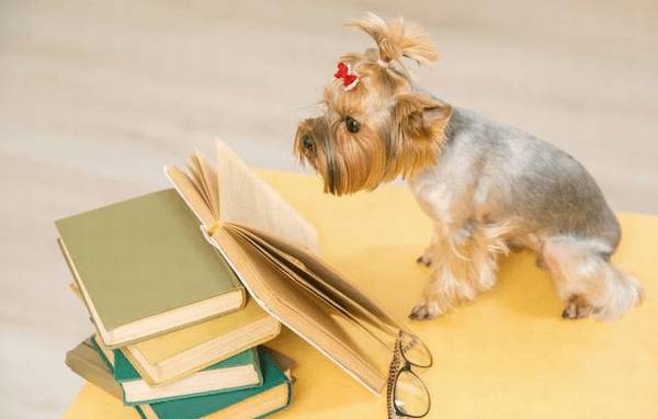 ����Ҫ�����������������飬Э���㾡��̤������֮;