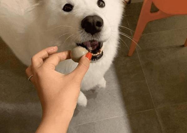 �����Ե��Ʋ�����С�����Ե��Ʋ�������