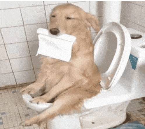 ԭ��С��Ҳ���д����Ŀյ���ð��