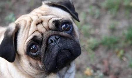 �Լ��ҹ���˯��˯������ࣿʵ������Ҳ��������