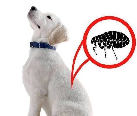 һ���������Ϸ����⼸����֢���п����Ǽ�������ɵ�