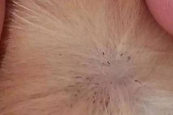 һ���������Ϸ����⼸����֢���п����Ǽ�������ɵ�