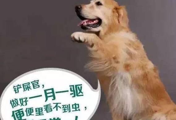һ���������Ϸ����⼸����֢���п����Ǽ�������ɵ�