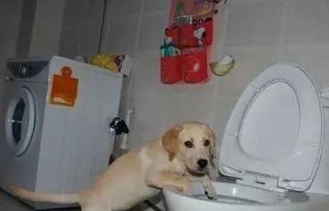 ����ϰ�����������ϲ������⼸�������ѧ�ã�����ã�