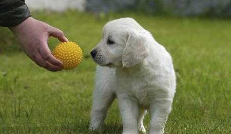 Ϊʲô�ý��������ǳͷ���ѵ����