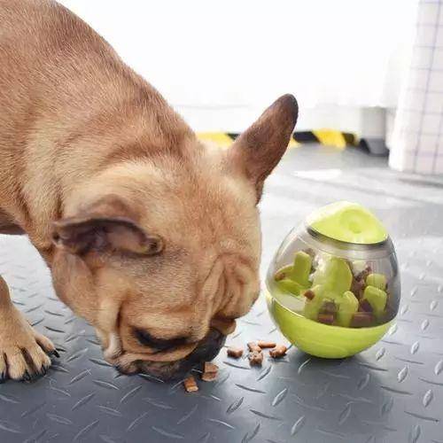 �����Է�̫�죬�ǳ����׳����⣬������ʽ ���������һ��