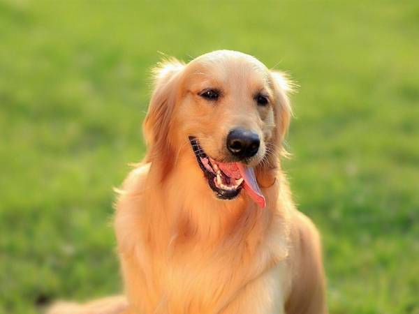 ֻ���M�ڹ��������Ǻ�������������Ҳ��Ҫ�����֣�