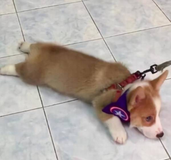 ���ϡ������ޡ���6�ֹ��������� �ʹ���������