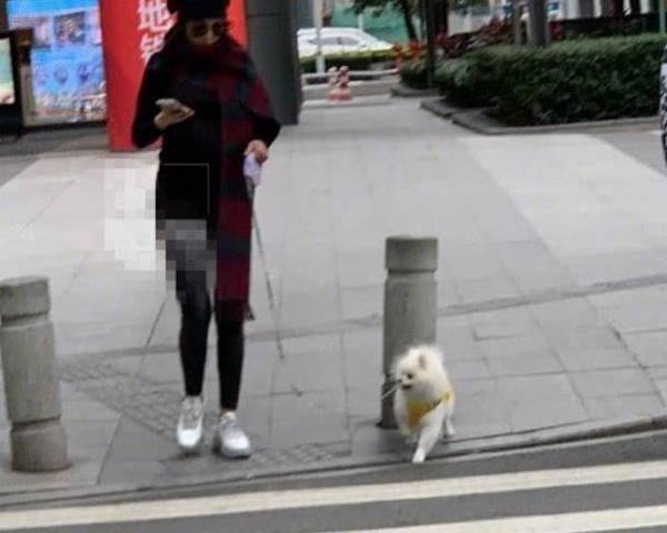 �����޹��������ԡ����Թ��������Ľ�������Э��
